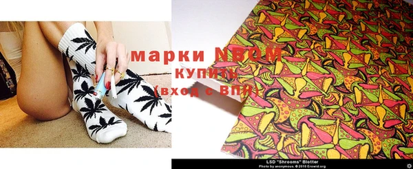 сатива Аша