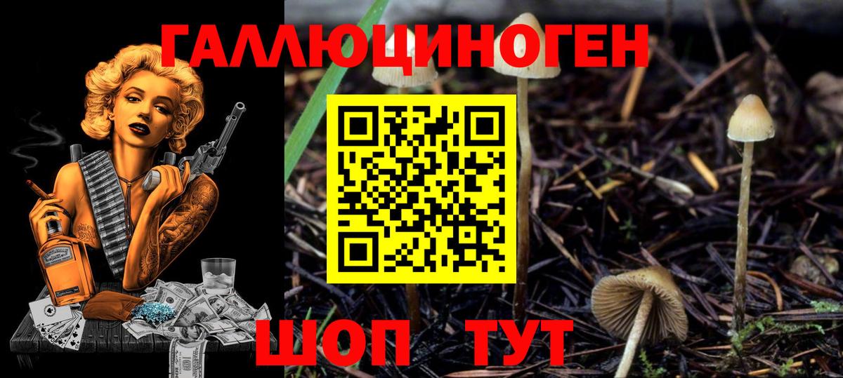 Шадринск  Вход с VPN  Меф МЯУ МЯУ   Гашиш  Канабис  КОКАИН 