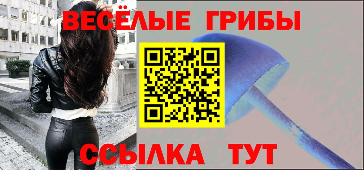 где найти наркотики  Галлюциногенные грибы ЛСД  Вход с VPN  Шадринск 
