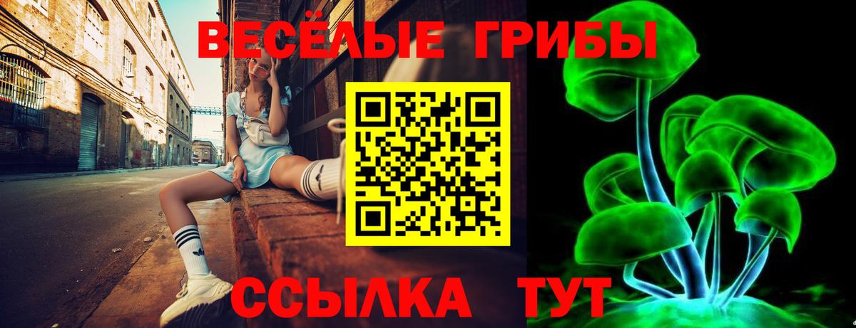 Псилоцибиновые грибы прущие грибы Шадринск