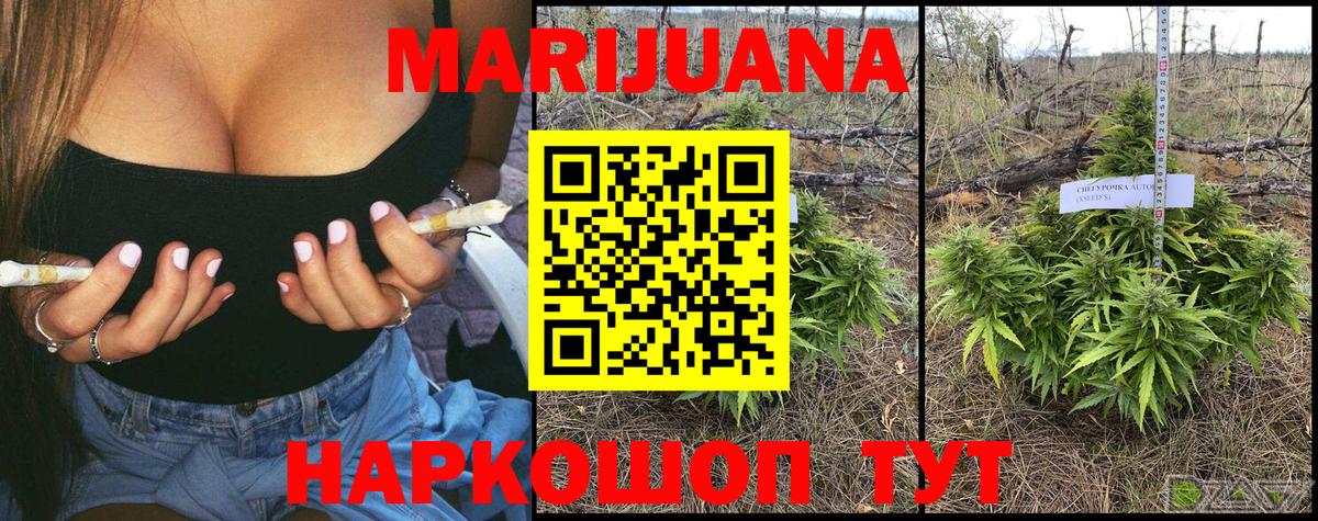 Конопля индика Шадринск